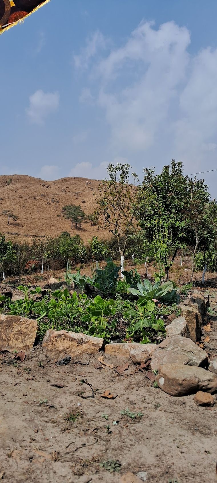 Hillside Homestay in Cherrapunji, Meghalaya