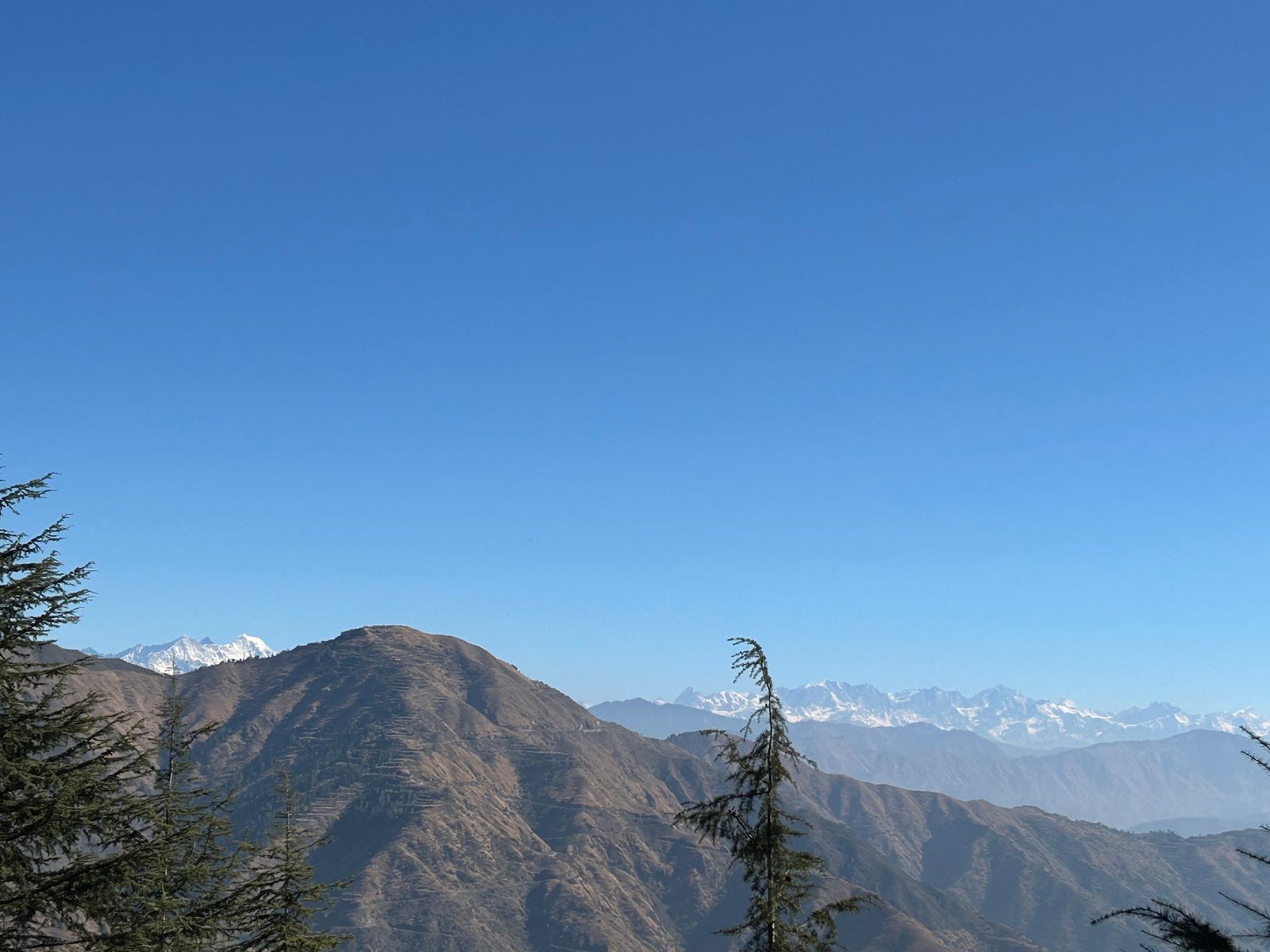 Cottage w/ Tree Views & Home Meals, Uttarakhand - Uttarakhand, Makhti photo 5