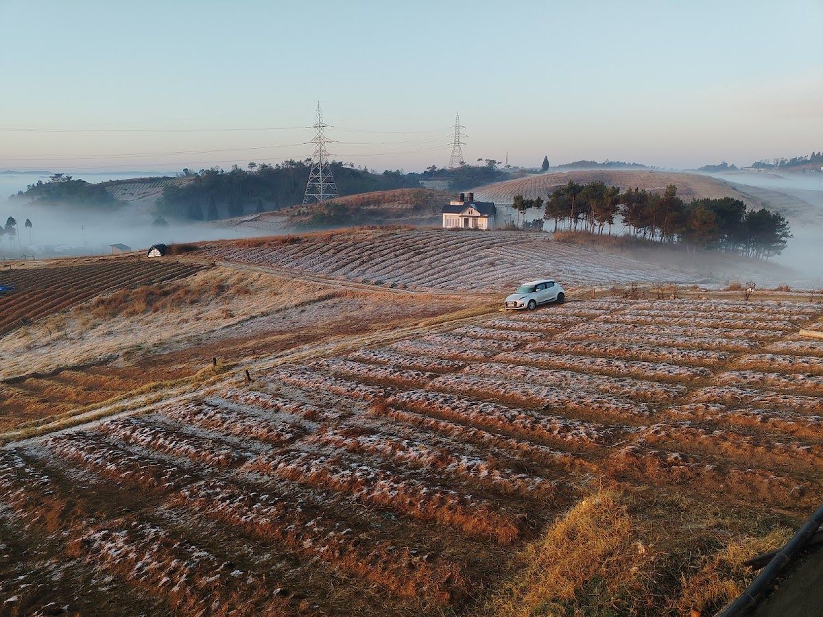 Dame & Aus Homestay - स्मित photo 5