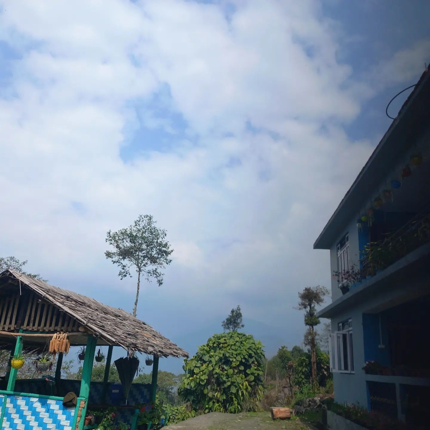 Mt Pandim View Homestay w/ Home Food, Sikkim - Sikkim, Ravangla photo 5