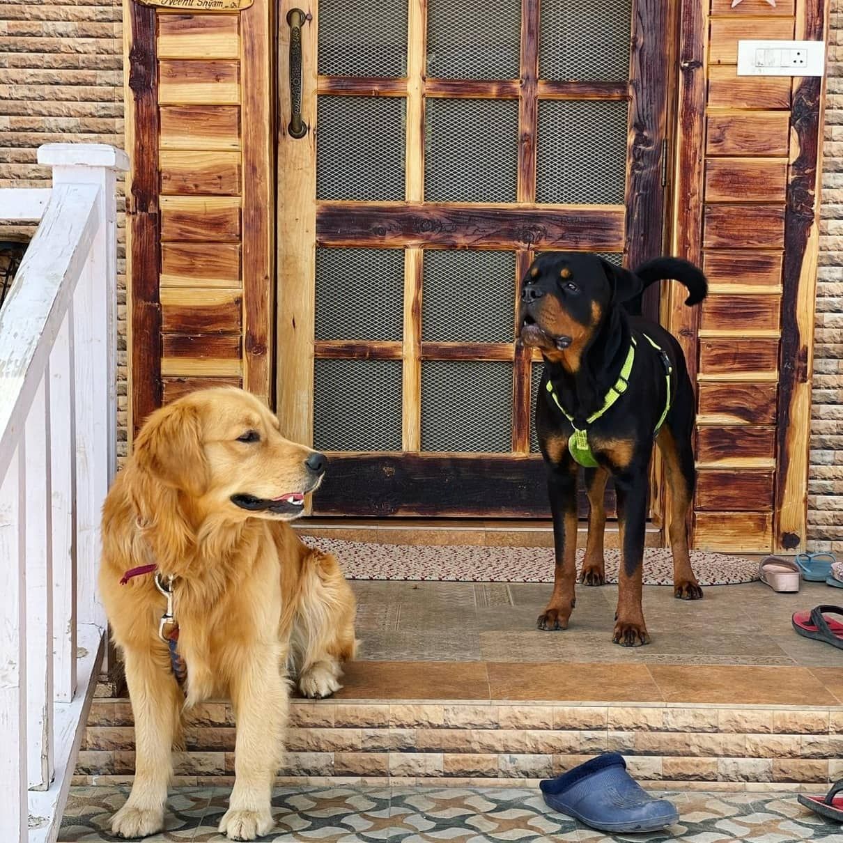 Himalayan View Homestay w/ Orchards HP - Narkanda, HP photo 5