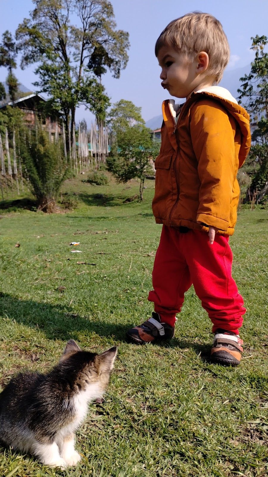 Airbnb | Holiday rentals, cabins, beach houses & more - Yuksom, Sikkim photo 5