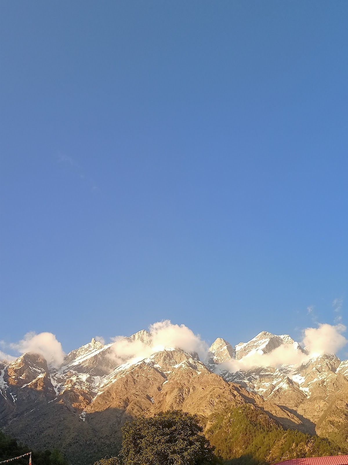 Himalayan Hospitality Guesthouse, HP in Himachal Pradesh 8