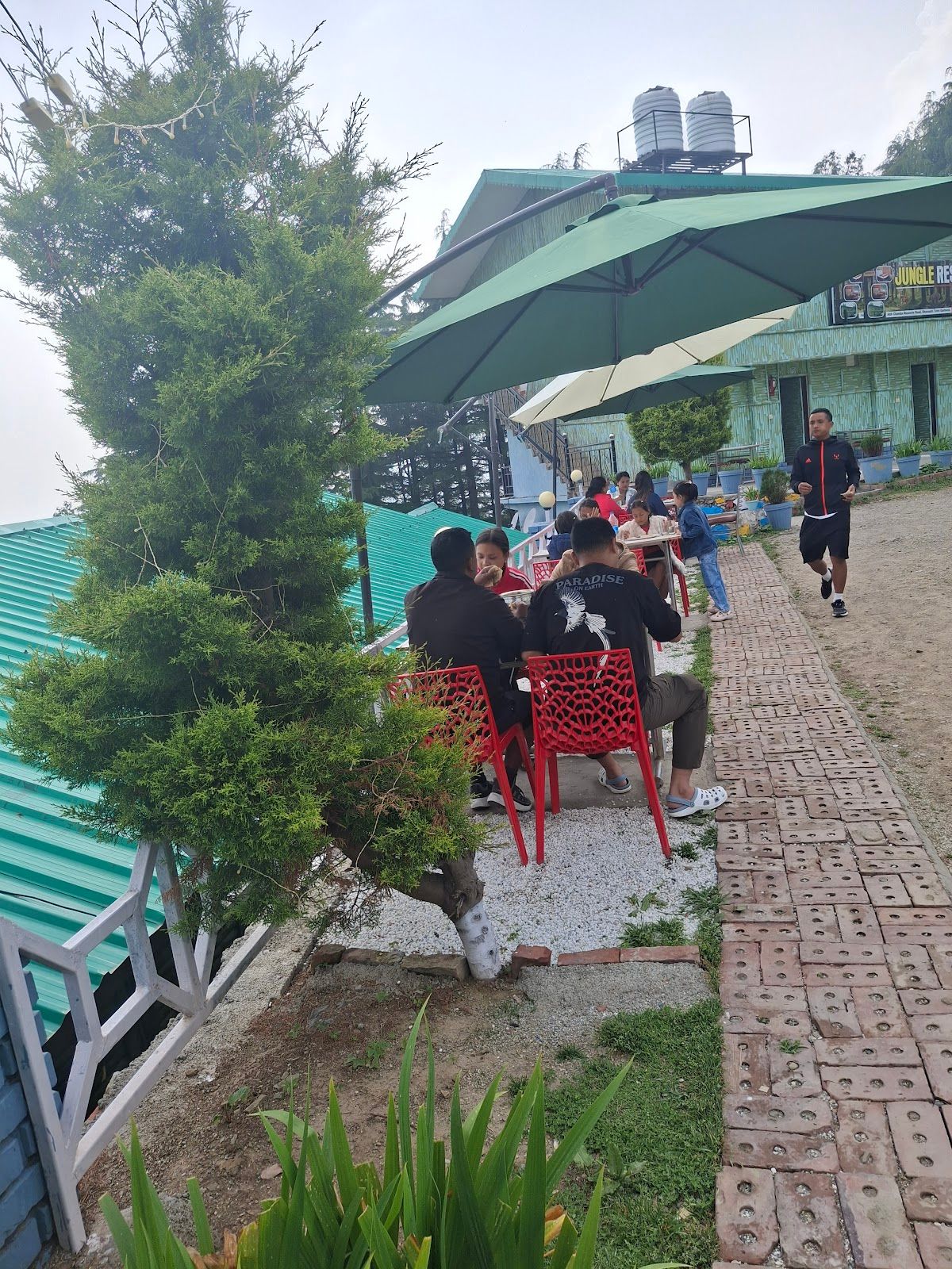 Sunset View Homestay w/ Forest Walks, Uttarakhand - Uttarakhand photo 5