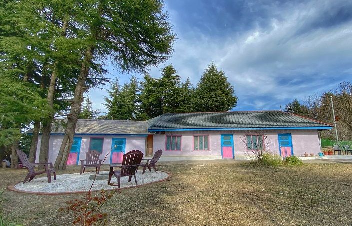 Hilltop Homestay w/ Home Meals & Treks, HP in Naldehra, HP 2