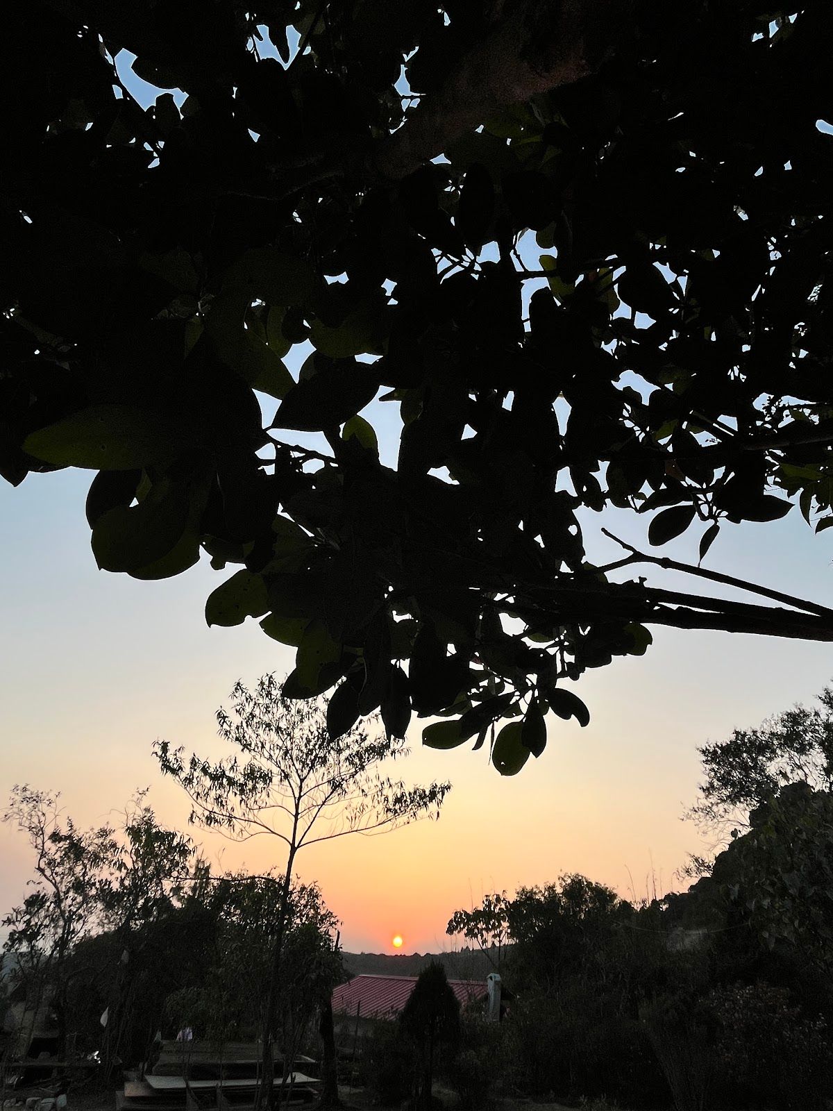 Romantic Garden Retreat · Private & Peaceful - Barns for Rent in Sebastopol, California, United States - Airbnb in चेरापूंजी 8