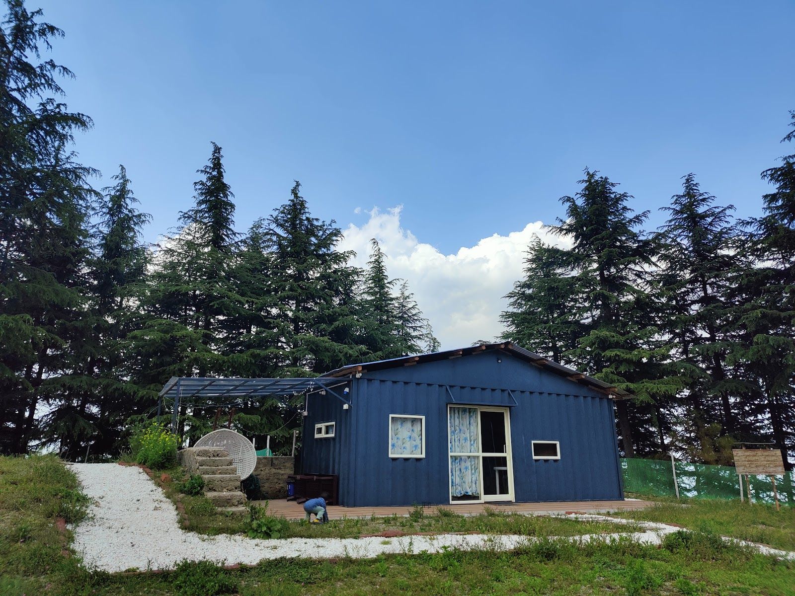 Hilltop Homestay w/ Home Meals & Treks, HP - Naldehra, HP photo 4