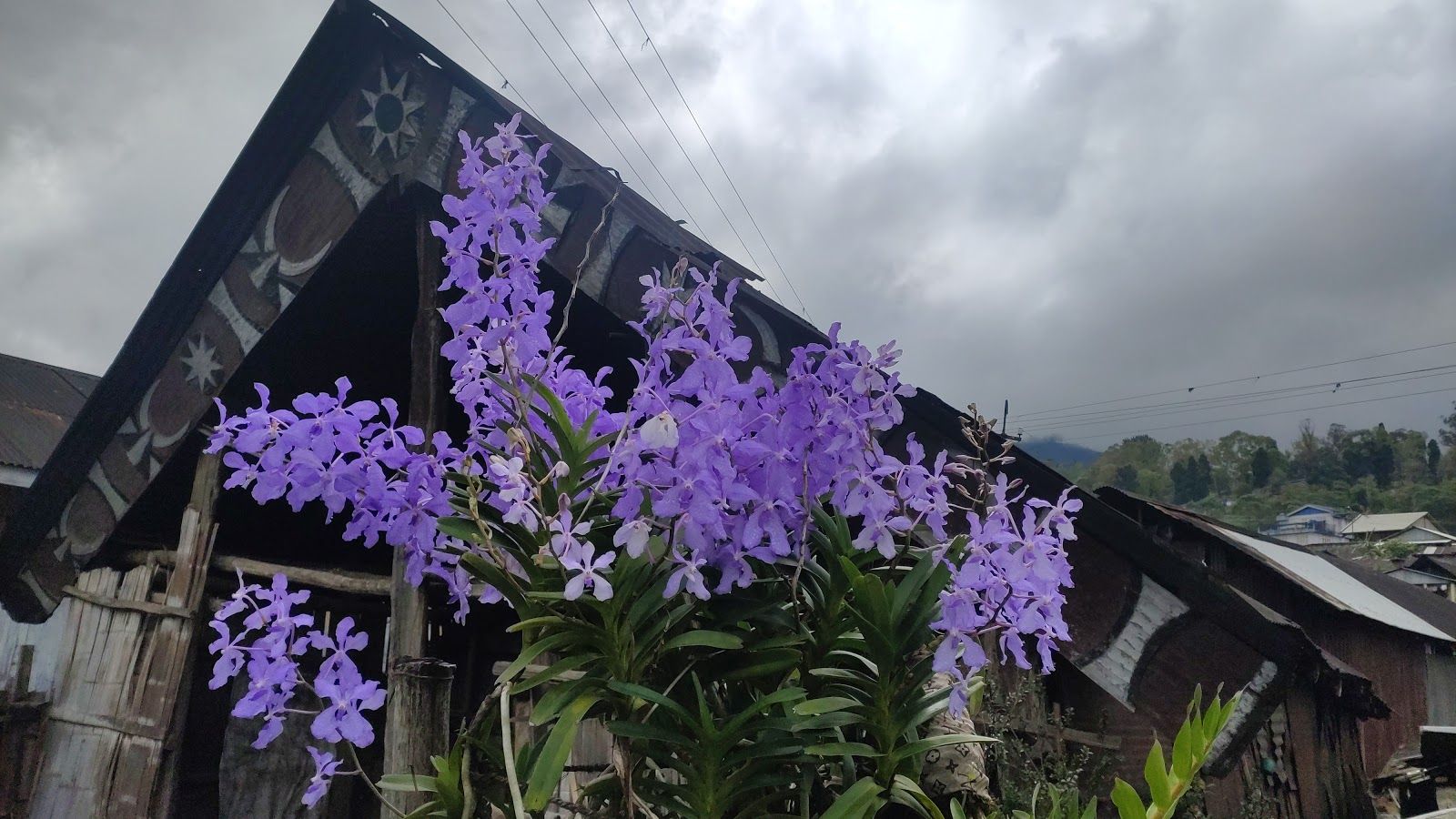 Dzukou Valley Base Homestay w/ Caring Hosts in Nagaland, Kigwema 8