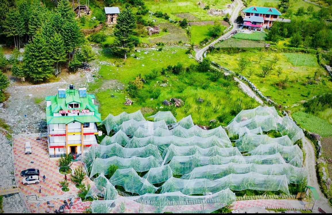 Mountain Homestay w/ Cedar Trees & Views, HP