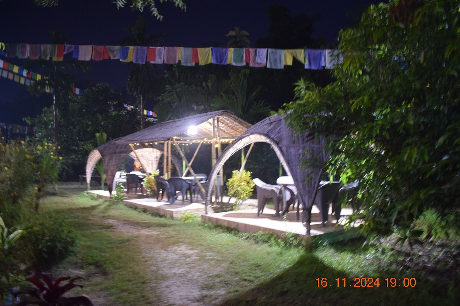 Forest Homestay, Dense Woods & Trails, Assam