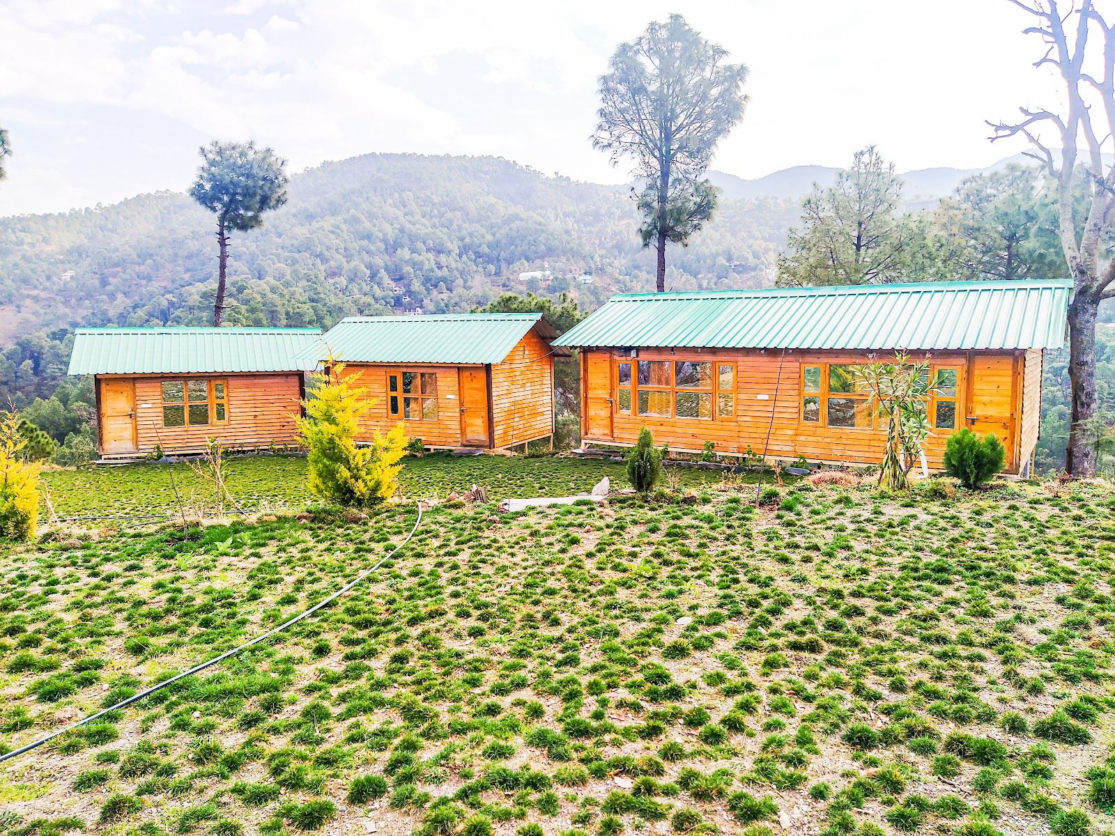 Mountain View Pet-Friendly Cottage HP in Himachal Pradesh 8