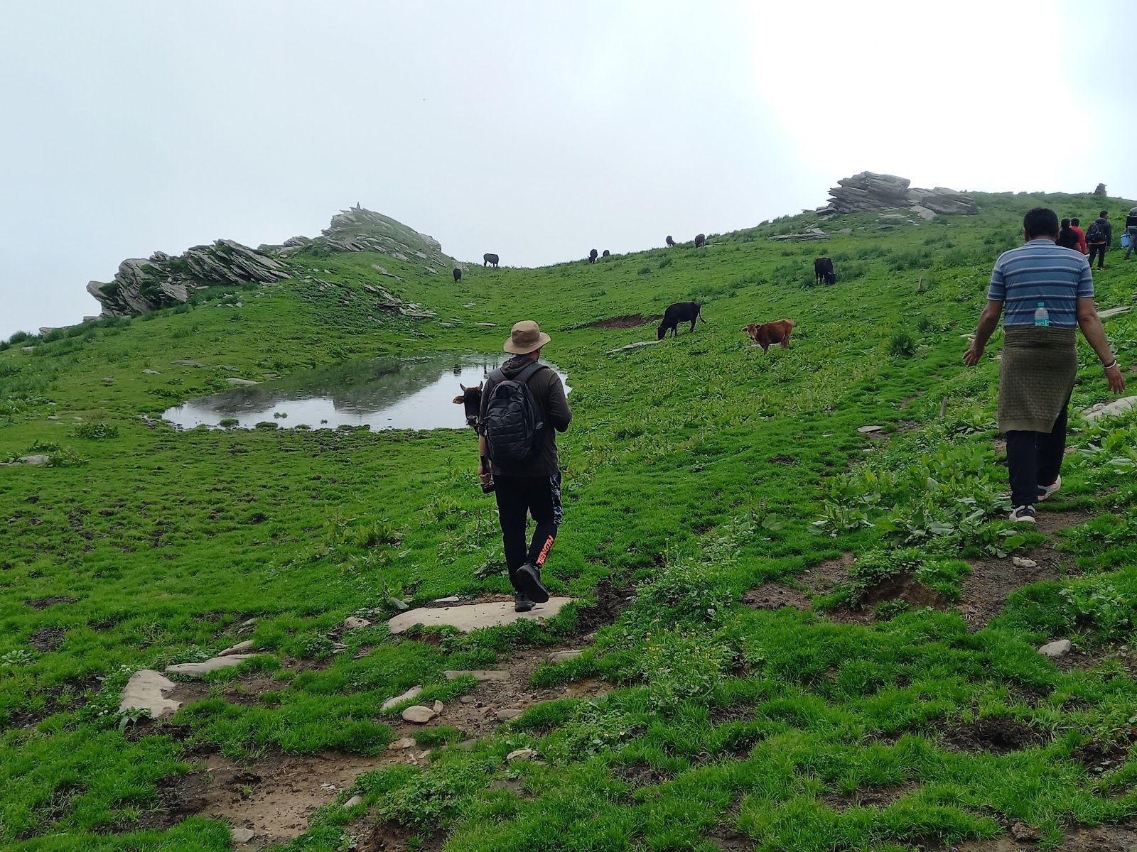 Alpine Tent w/ Mountain Views & Treks, HP - Himachal Pradesh photo 4