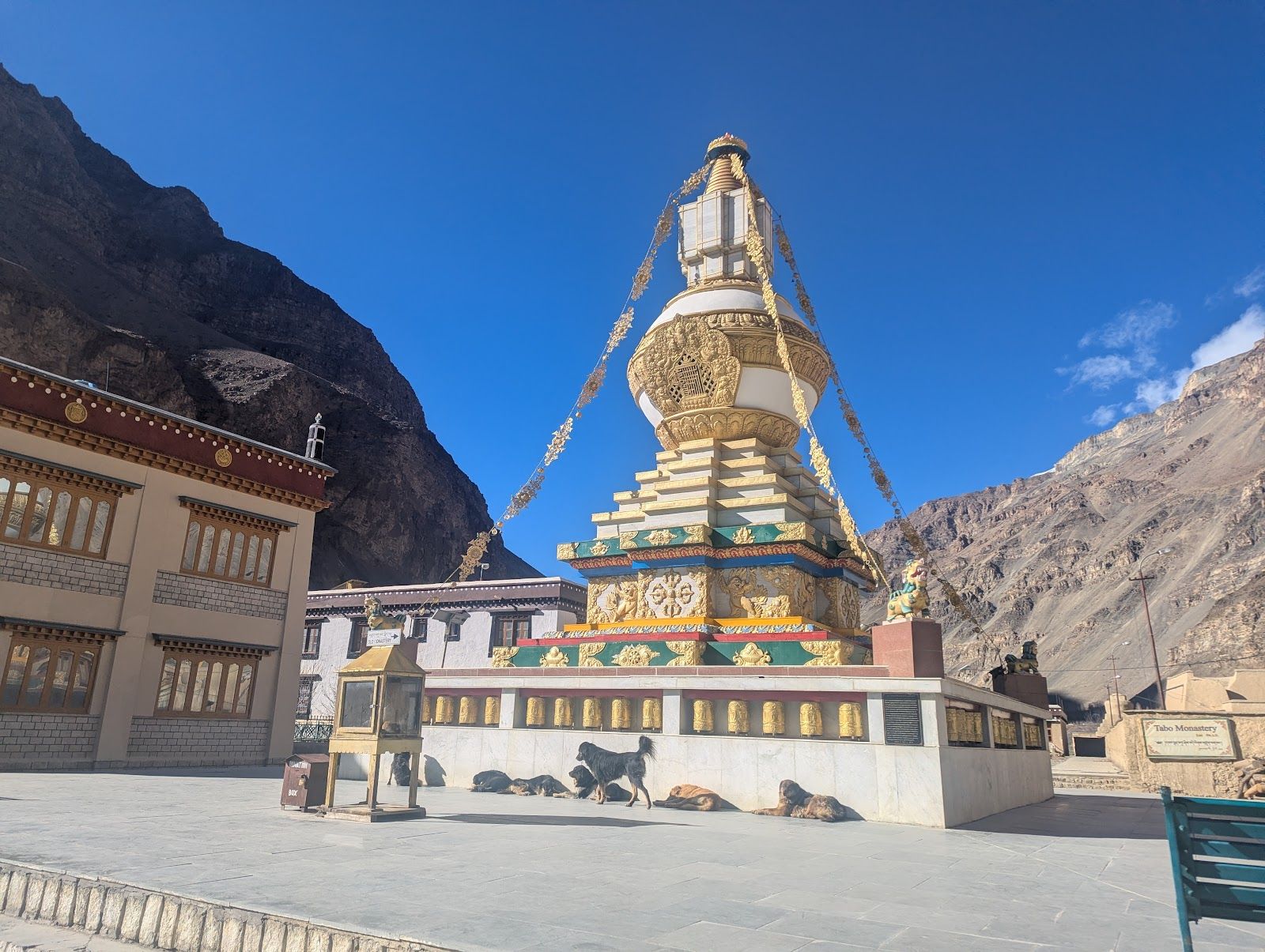 Himalayan Homestay w/ Home Meals & Treks, HP in Tabo, HP 1