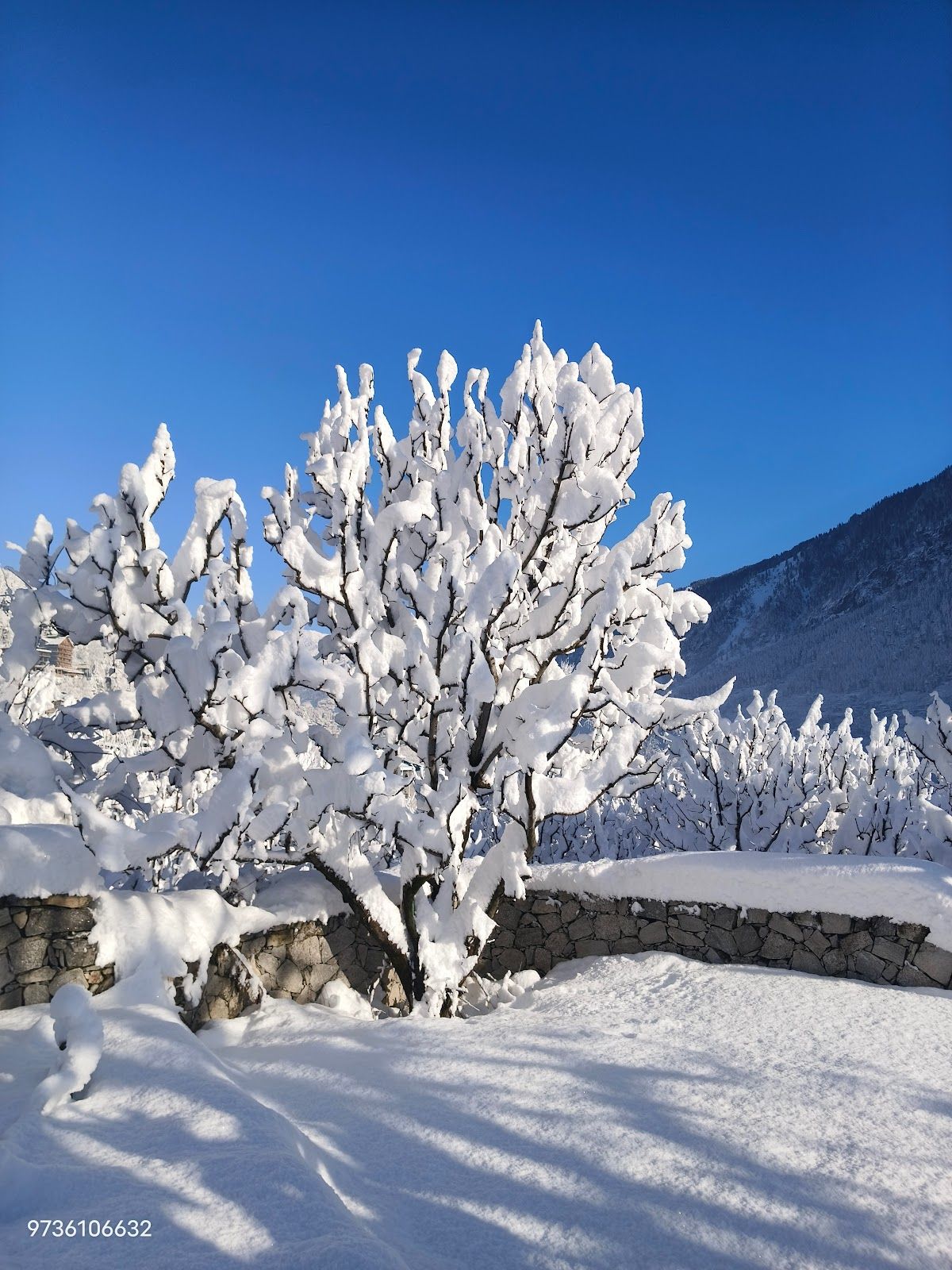 3BR Villa w/ Home Meals & Snowfall, HP in Manali, HP 5