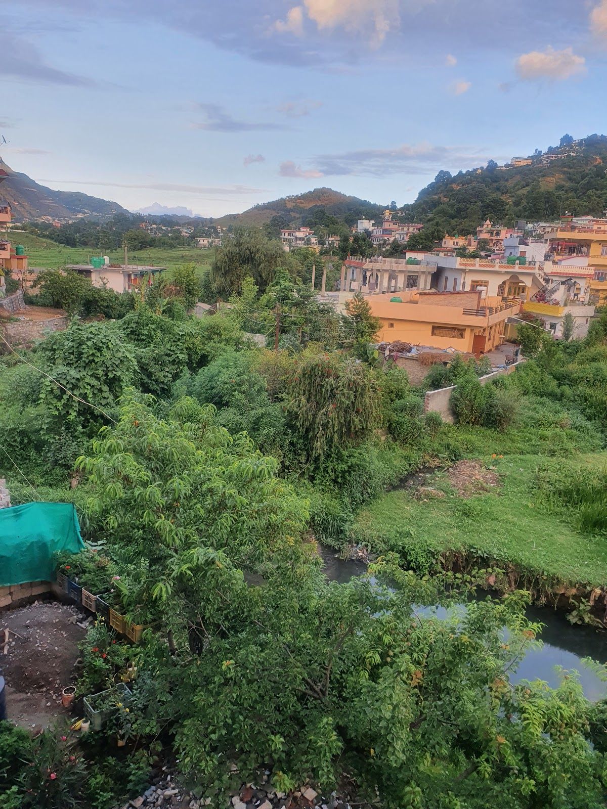 Chef-Prepared Meals Homestay w/ Garden View