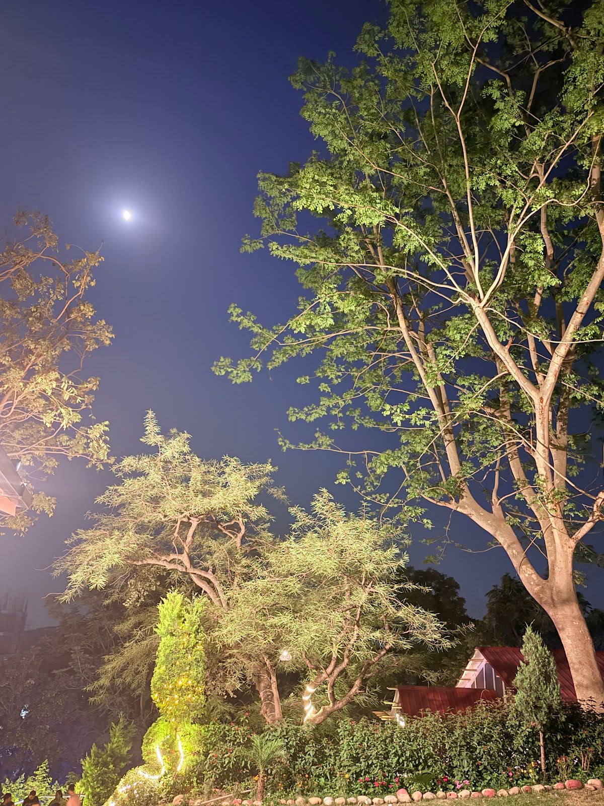 Night