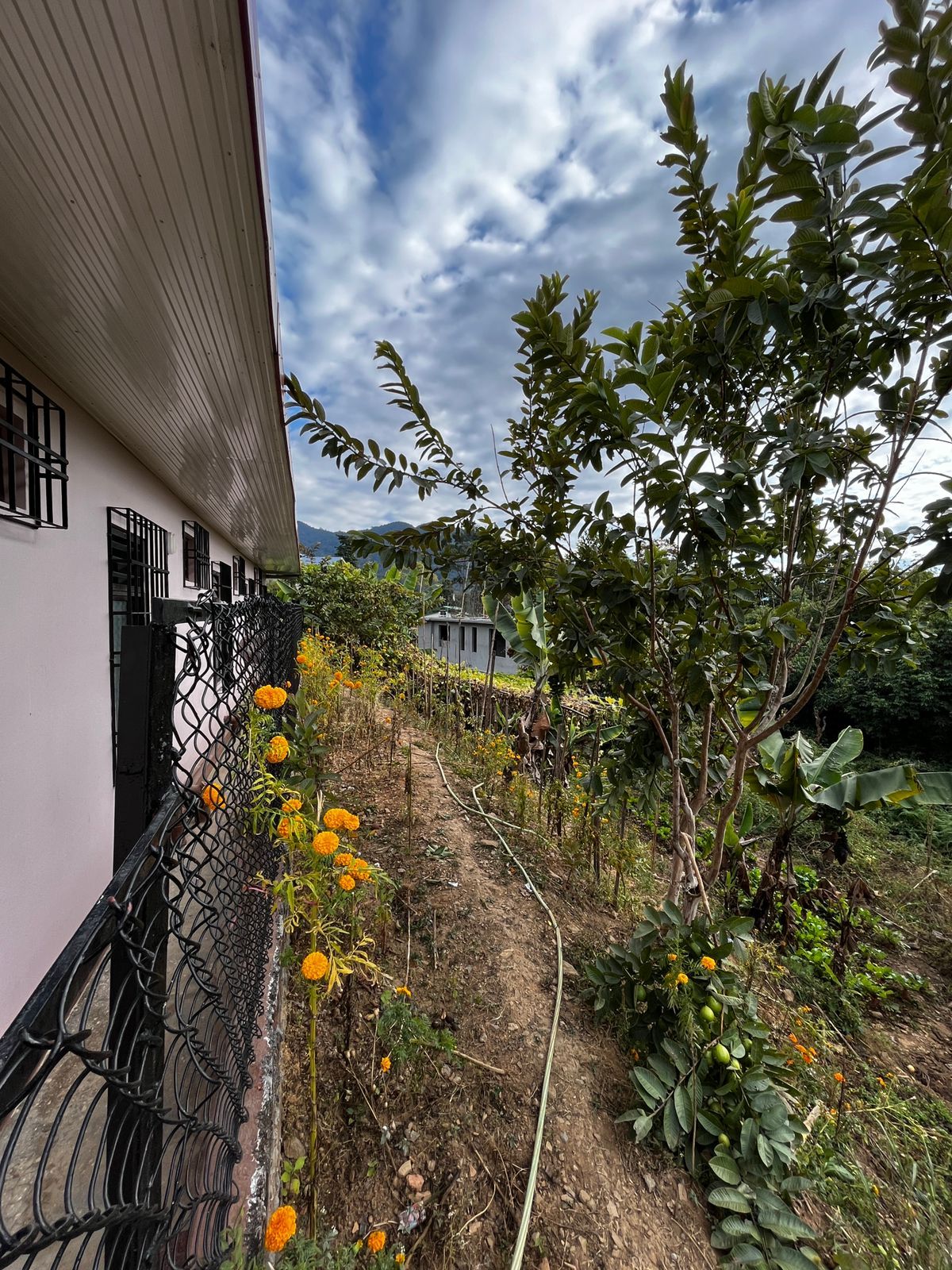 Homestay w/ Splendid Views & Home Meals, Sikkim in Sikkim 8