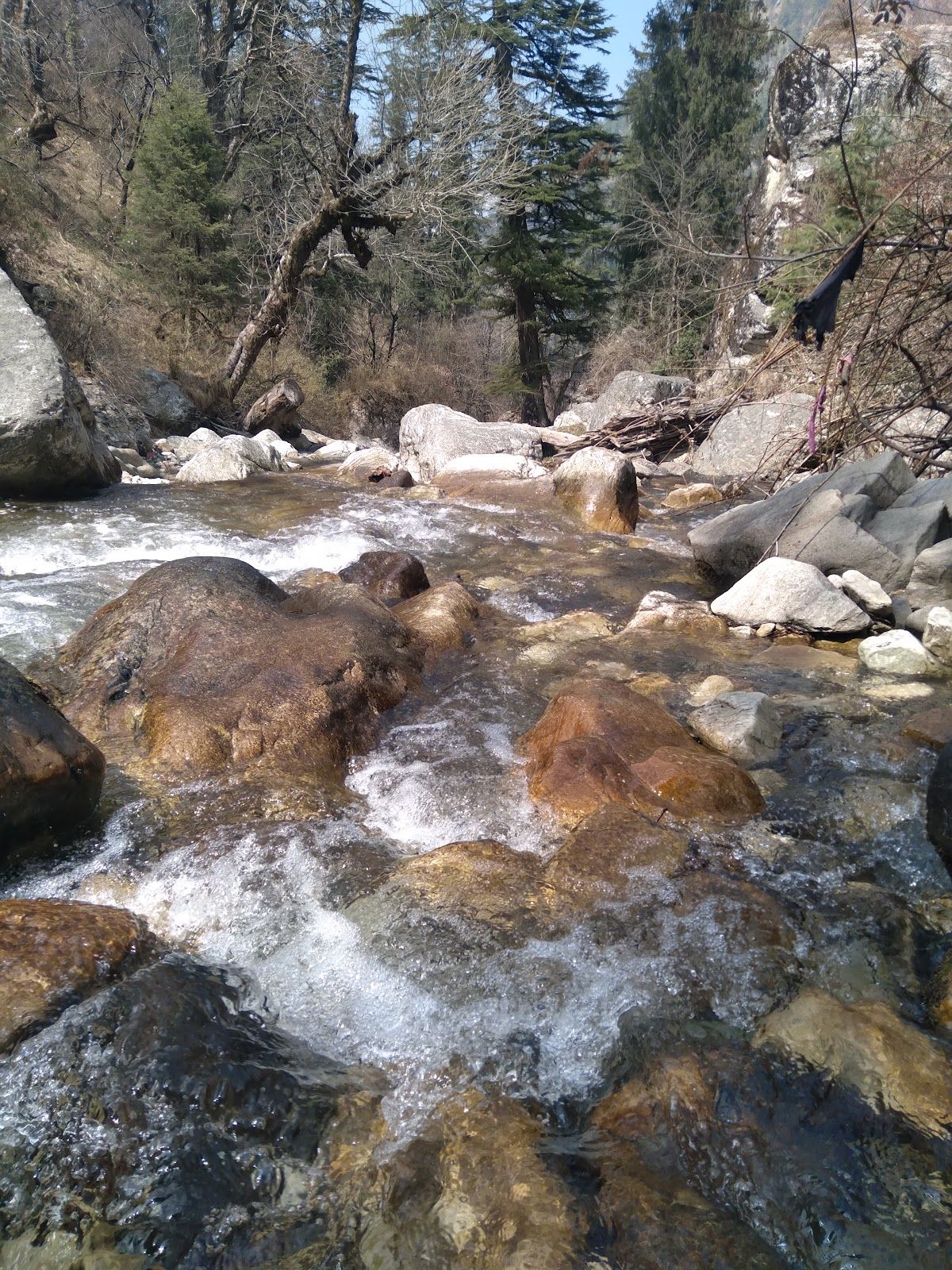 Homestay w/ Home Meals & Hiking Trails, HP in Jibhi, HP 5