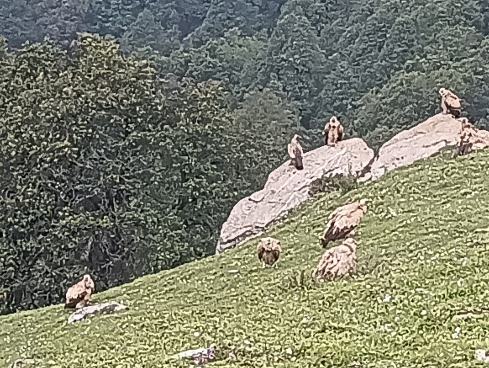 Mountain Camp w/ Bonfires & Stargazing, HP - Anni, HP photo 5