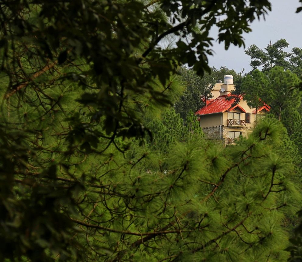 Himalayan View Homestay w/ Home Meals, Uttarakhand in Lansdowne, Uttarakhand 8