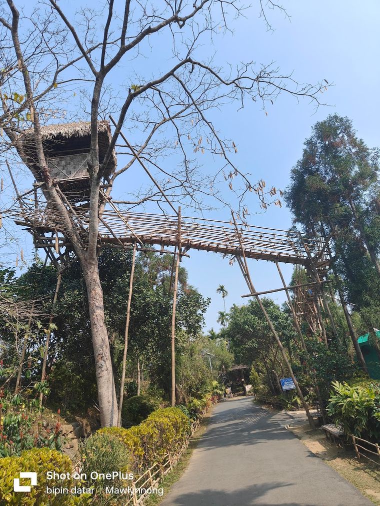 Simple homestay in Mawlynnong, Meghalaya