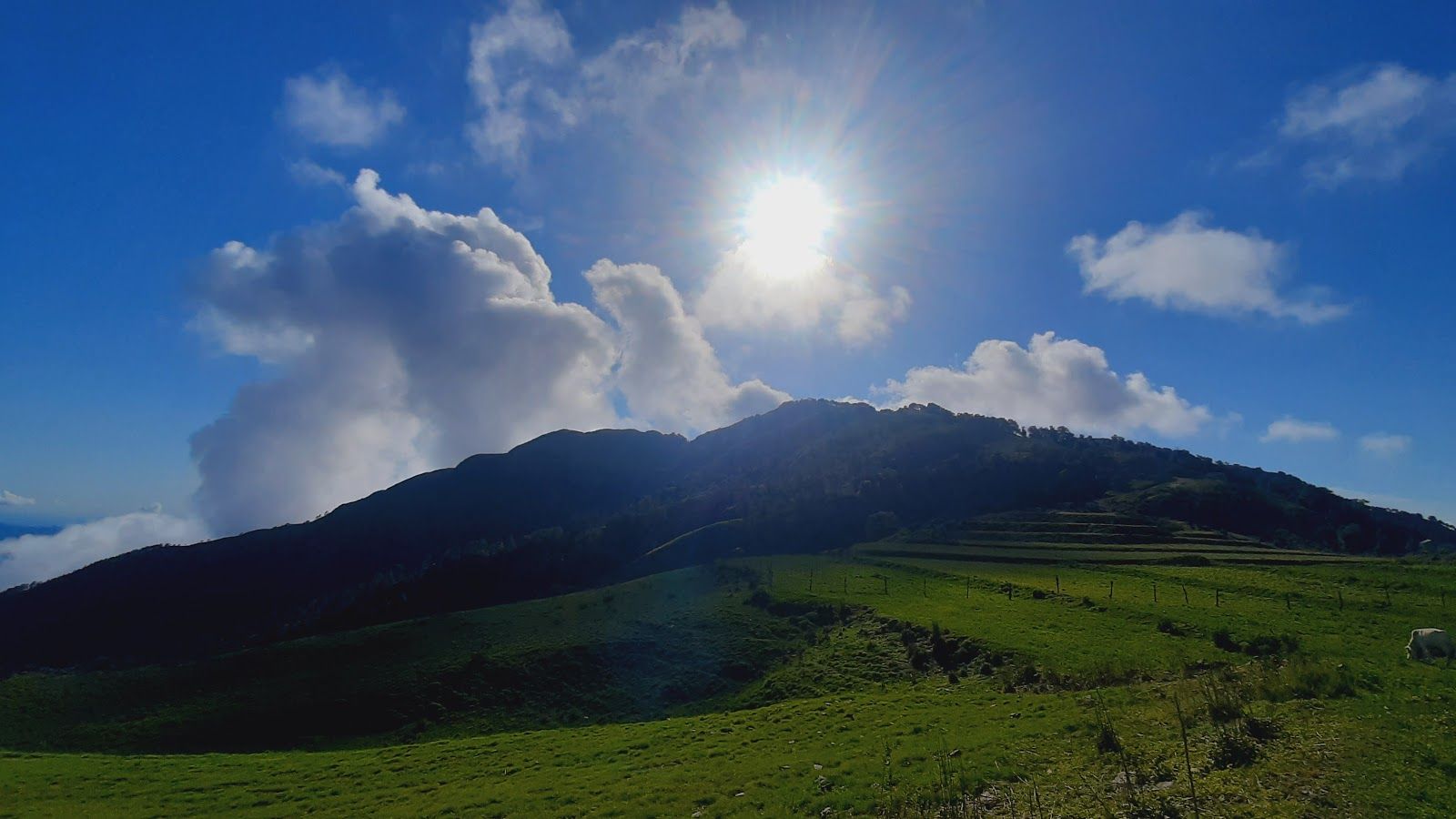 Himalayas View Camping Camp Uttarakhand - Mussoorie Range, Uttarakhand photo 5