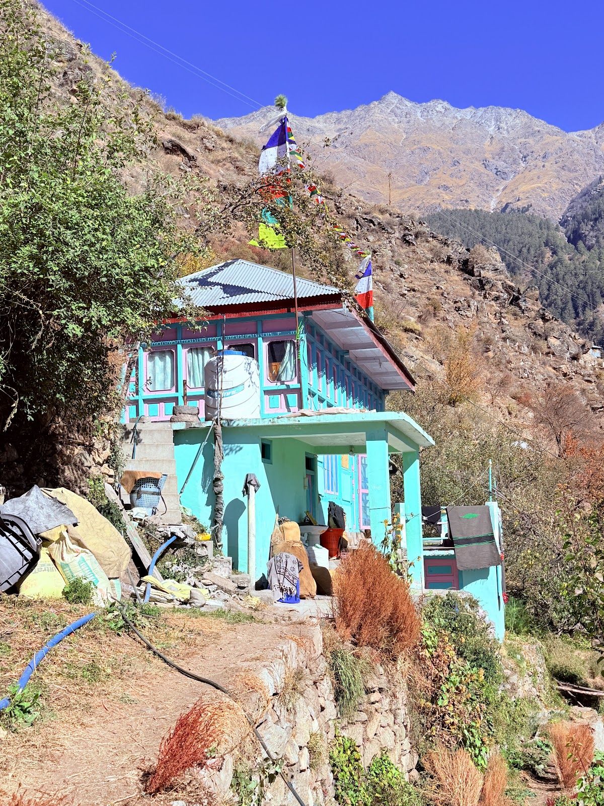 Homely Homestay w/ Home Meals, Himachal Pradesh in Tapri, Himachal Pradesh 1