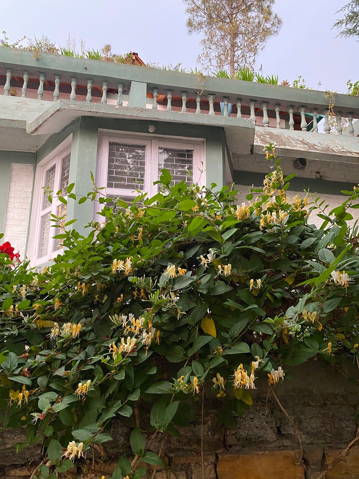 Balcony Homestay w/ Starry Nights & Trails, UK