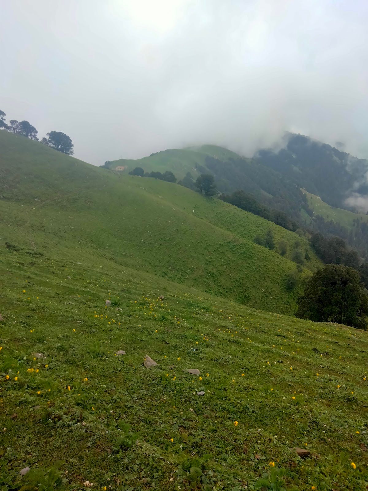 Campsite w/ Mountain Views & Home Meals, HP in Banjar, HP 8