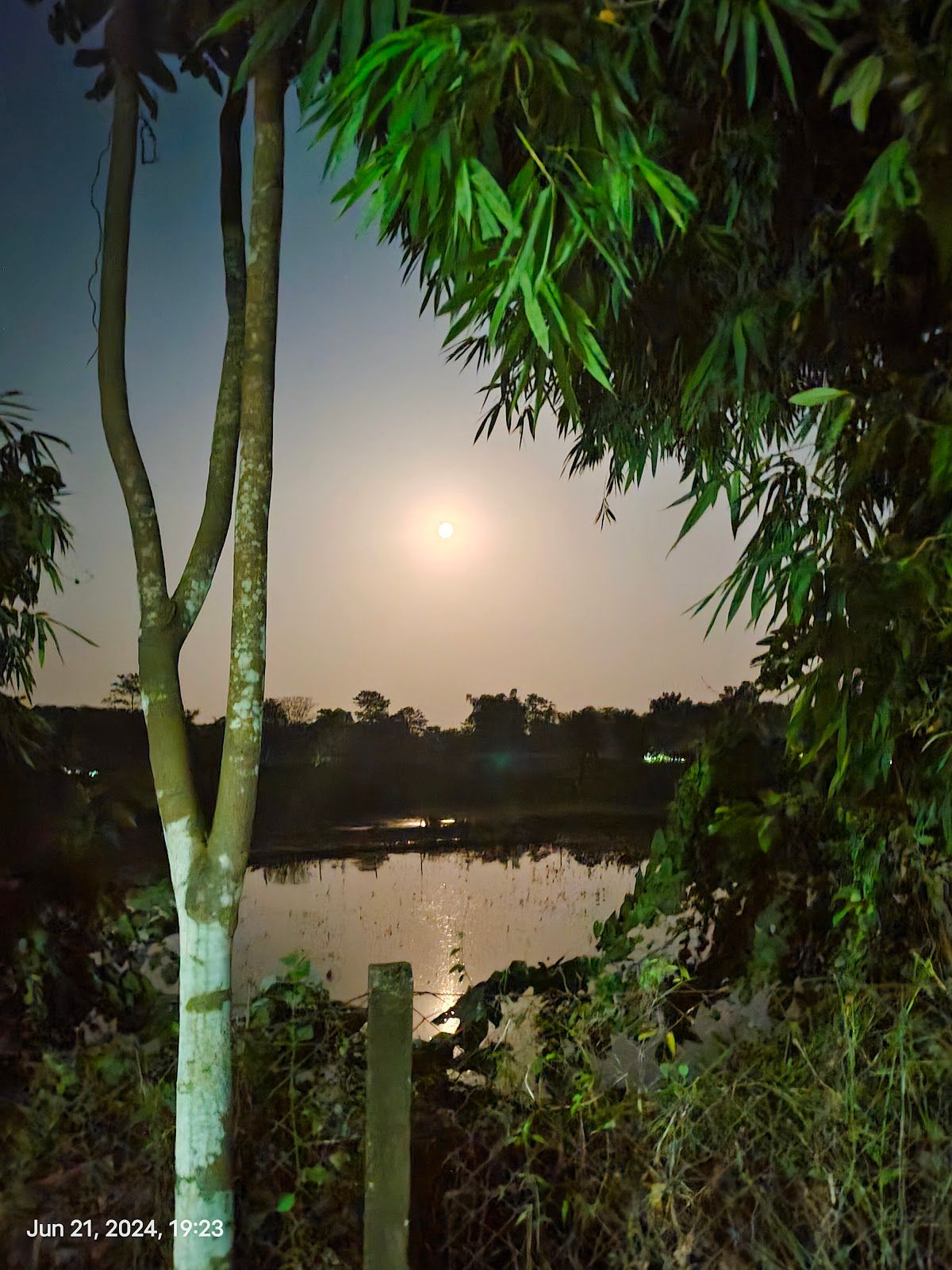 Betel Nut Grove Cottages, Safari Access, Assam - Assam photo 5