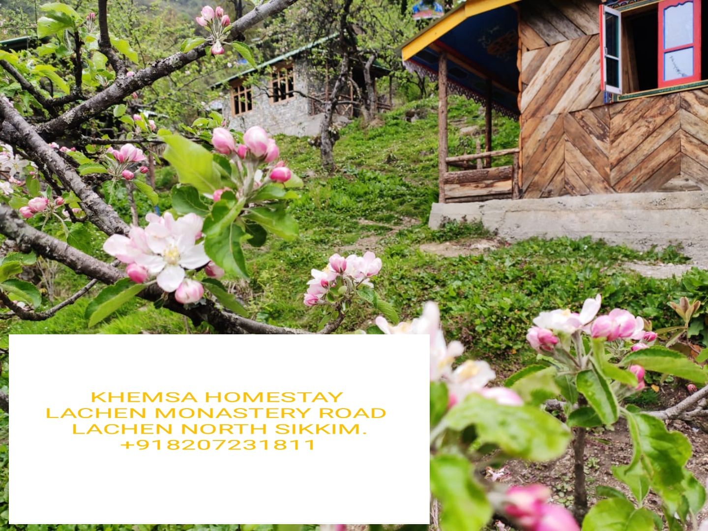 Helpful Owner Homestay w/ Recommendations, Sikkim in Sikkim, Lachen