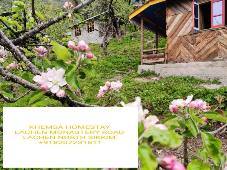 Helpful Owner Homestay w/ Recommendations, Sikkim