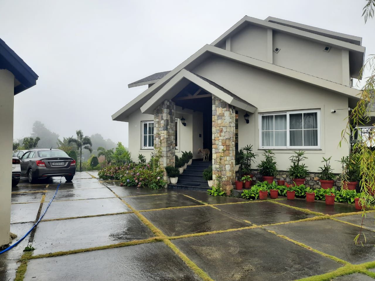 House w/ Mtn Views & Gardens, Top Interiors - Horrawala, Uttarakhand photo 5