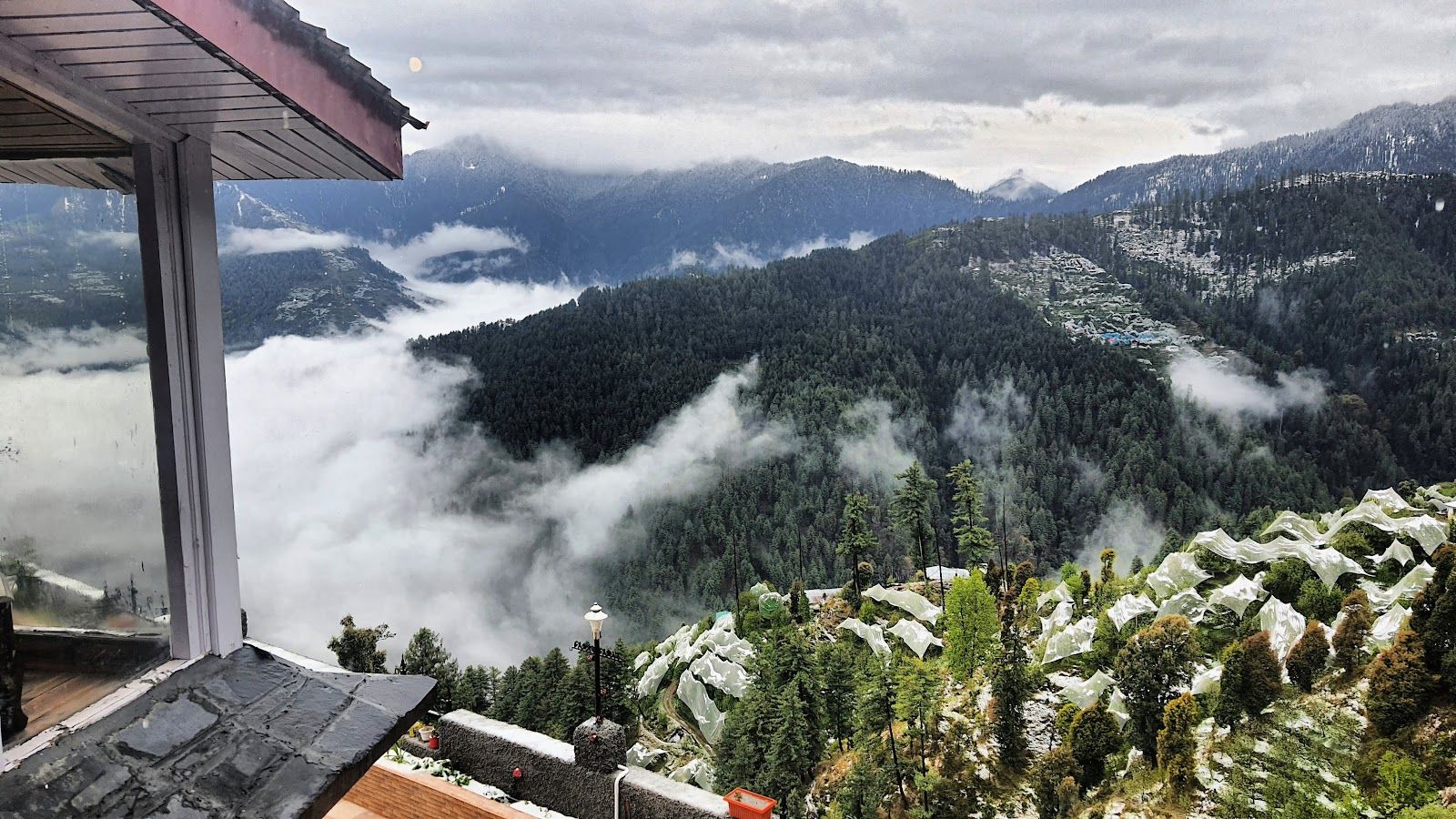 Himalayan View Homestay w/ Orchards HP in Narkanda, HP 5