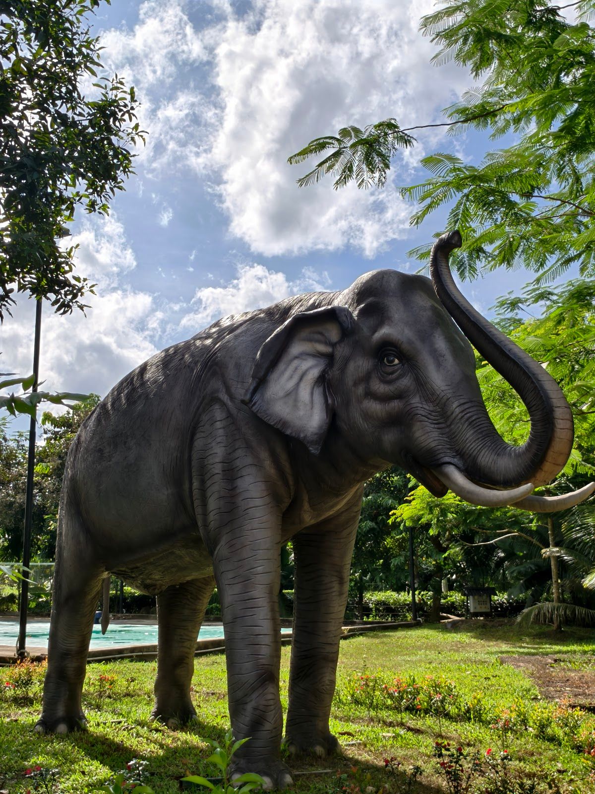 House with a pool in Kaziranga, 21 bedrooms, sleeps 42