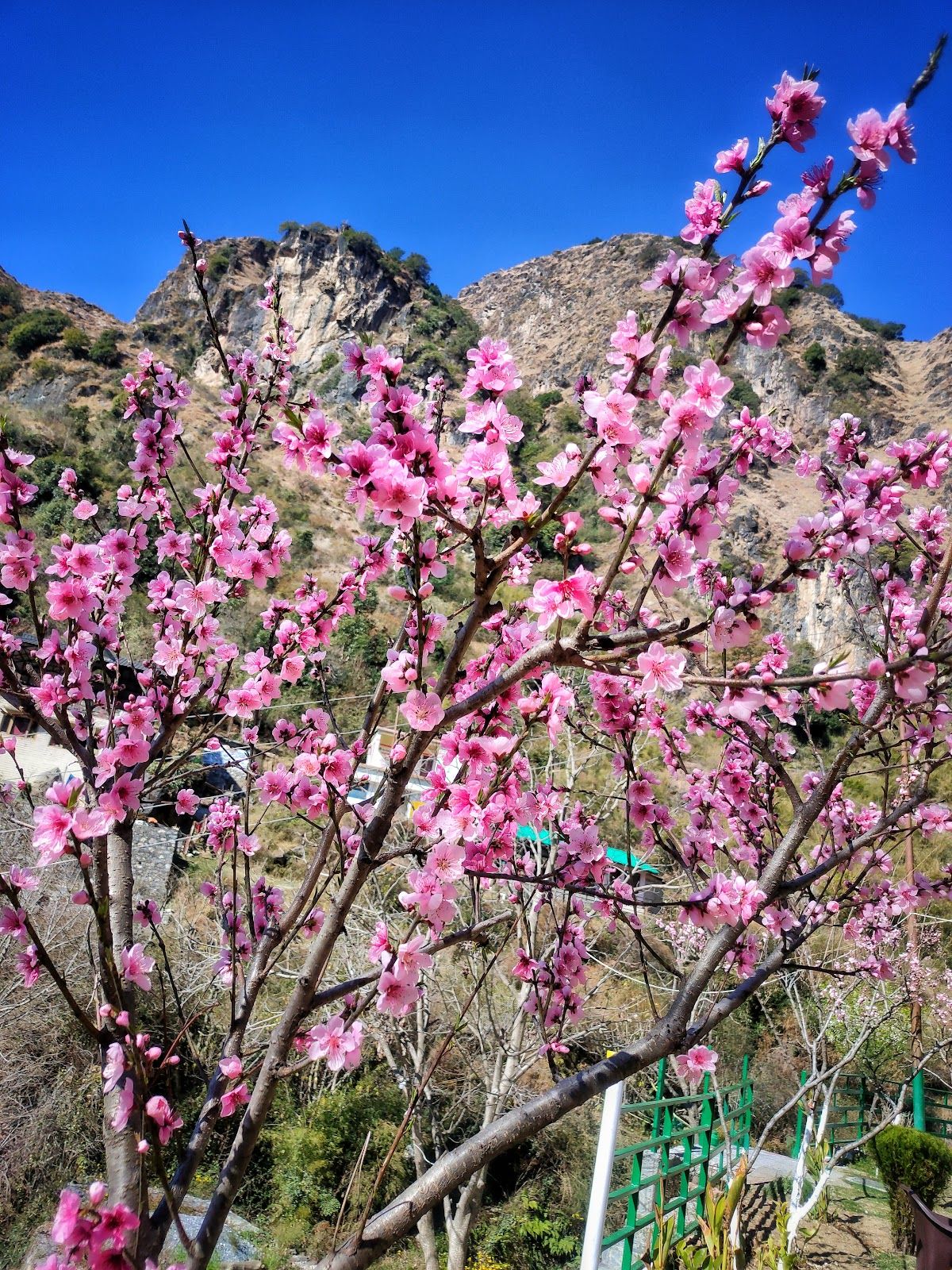 Homestay w/ Private Waterfall & Meals, UK - Chakrata, Uttarakhand photo 4