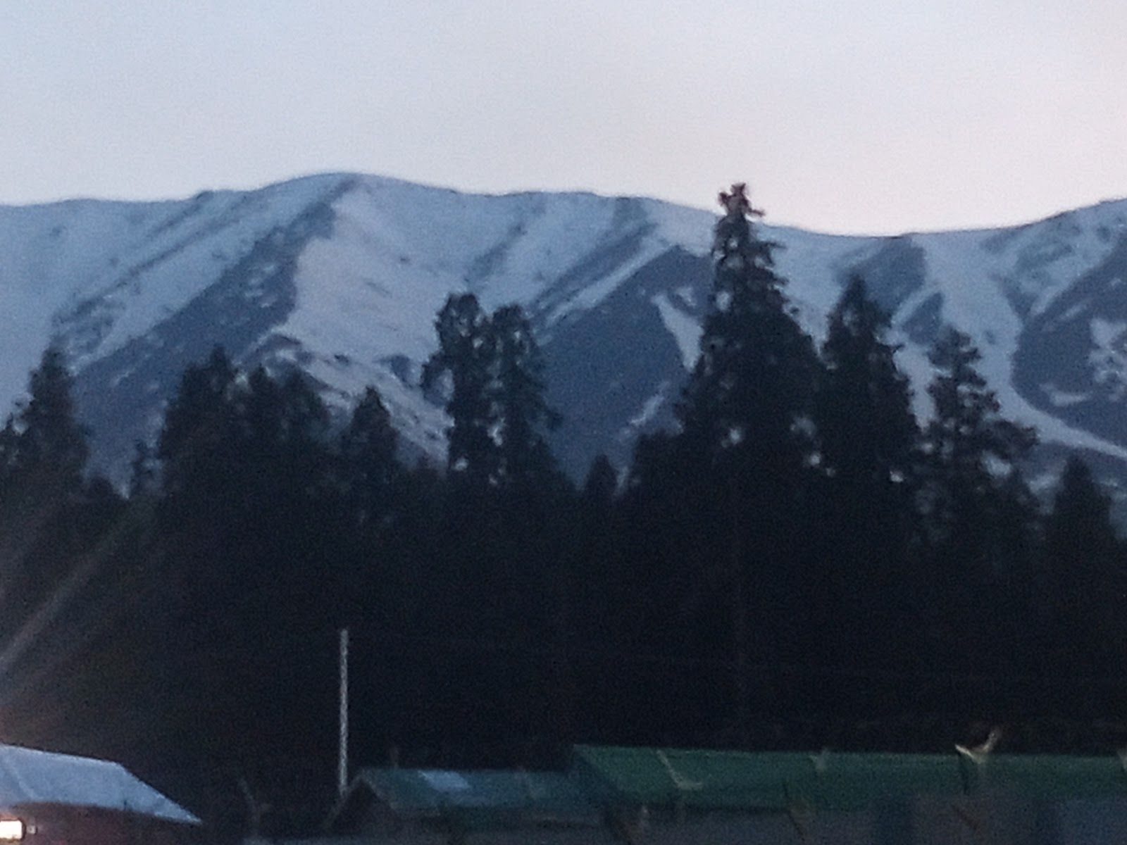 Golf Course Walk Cottage, J&K in Gulmarg, J&K 8