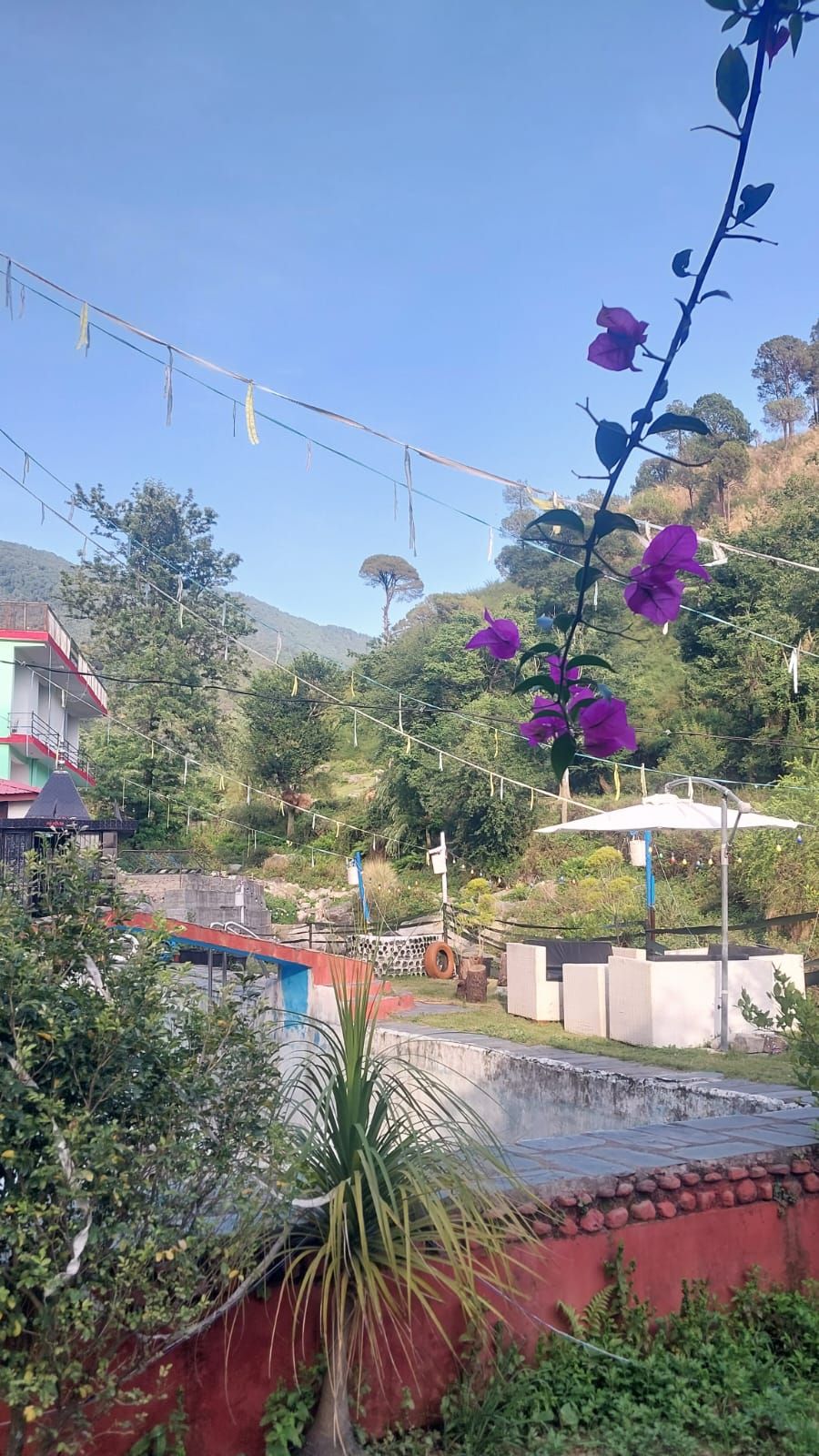 Stream-side Homestay w/ Pool & Home Meals, HP in Sansal, Himachal Pradesh 1