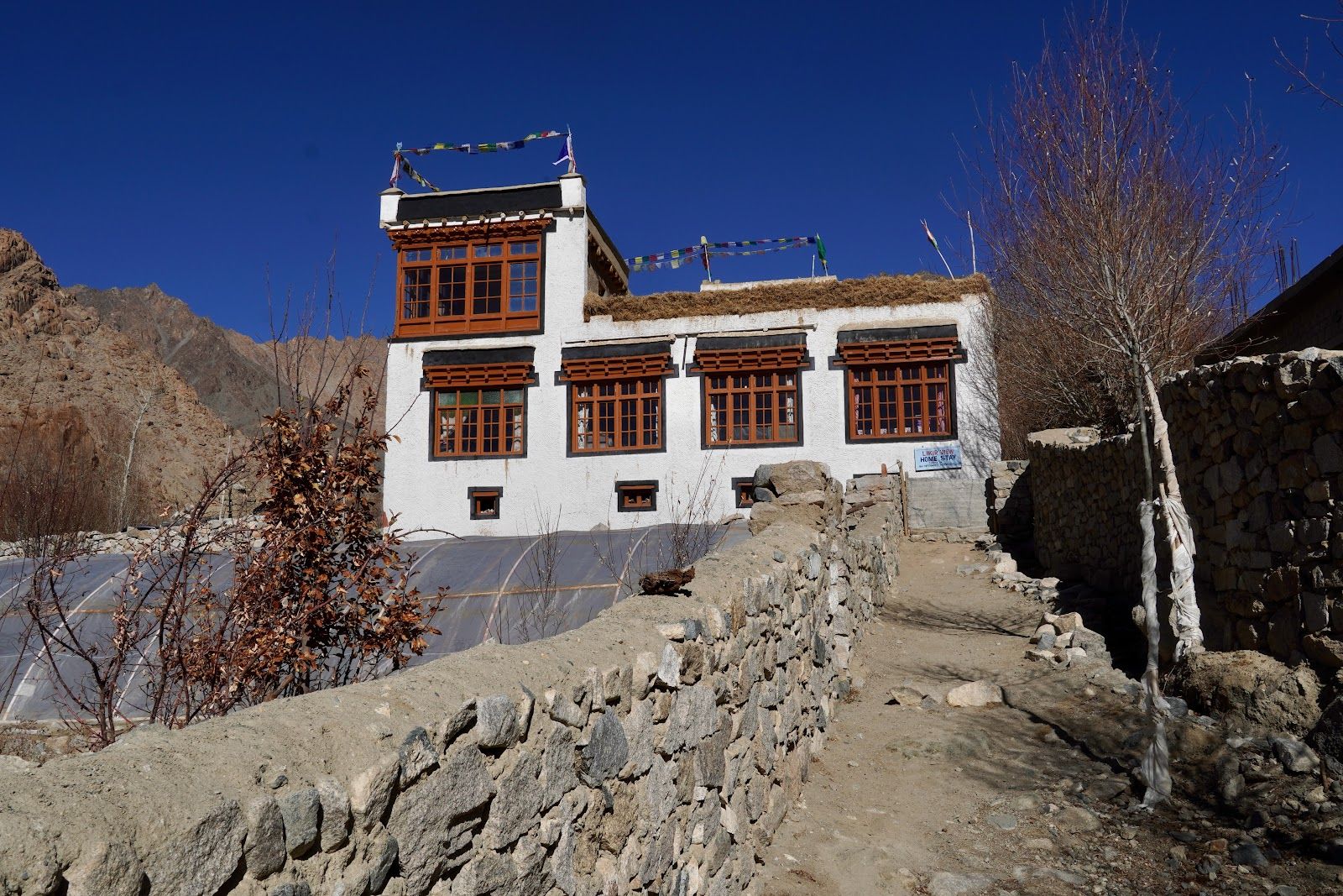 Organic Homestay w/ Monastery Views, Ladakh in Likir, Ladakh 1