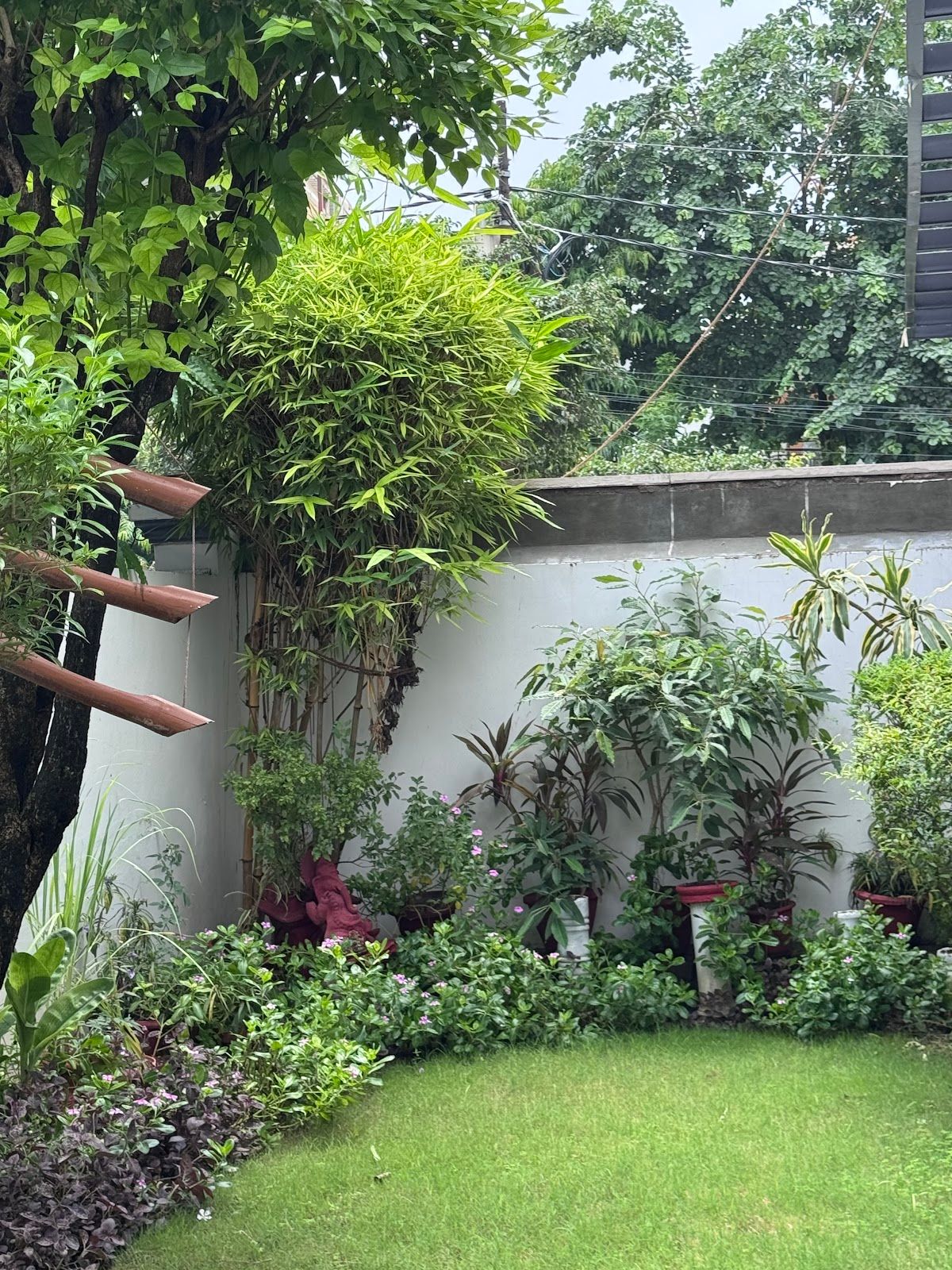Lucknow homestay facing a park. For a pause.