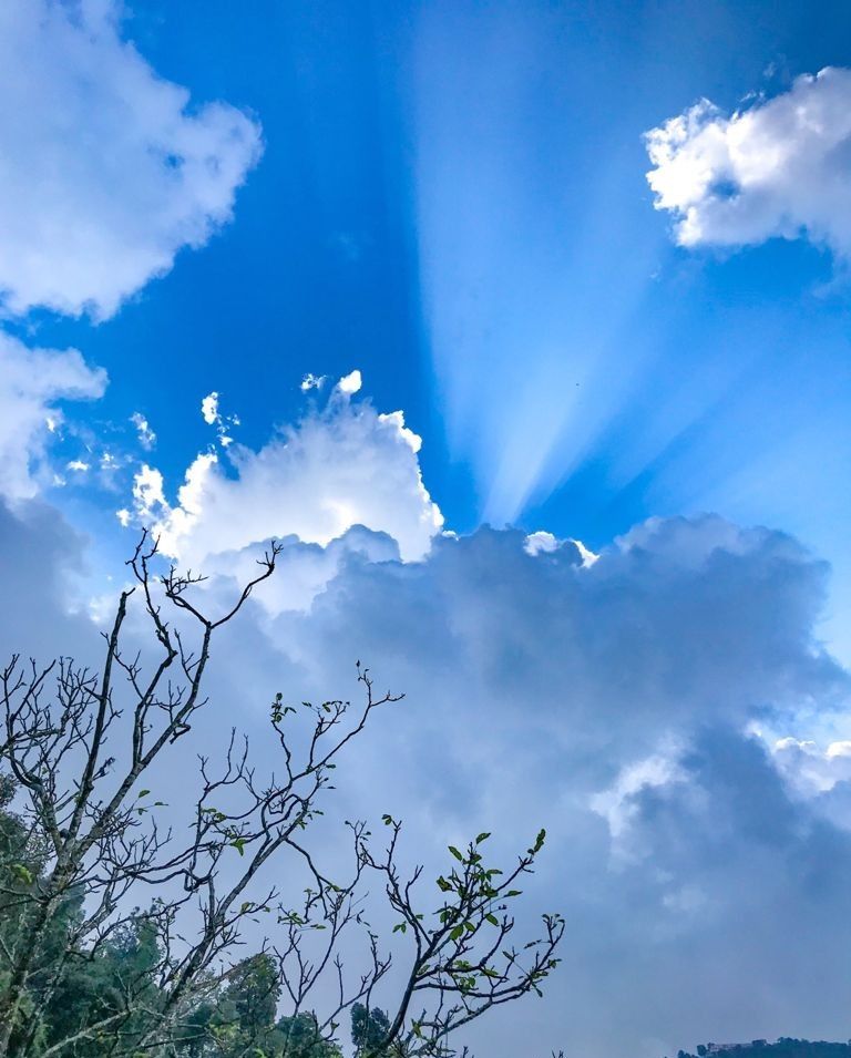 Mountain Cottage w/ Valley Views & Bonfires, UK in Mussoorie, Uttarakhand 8