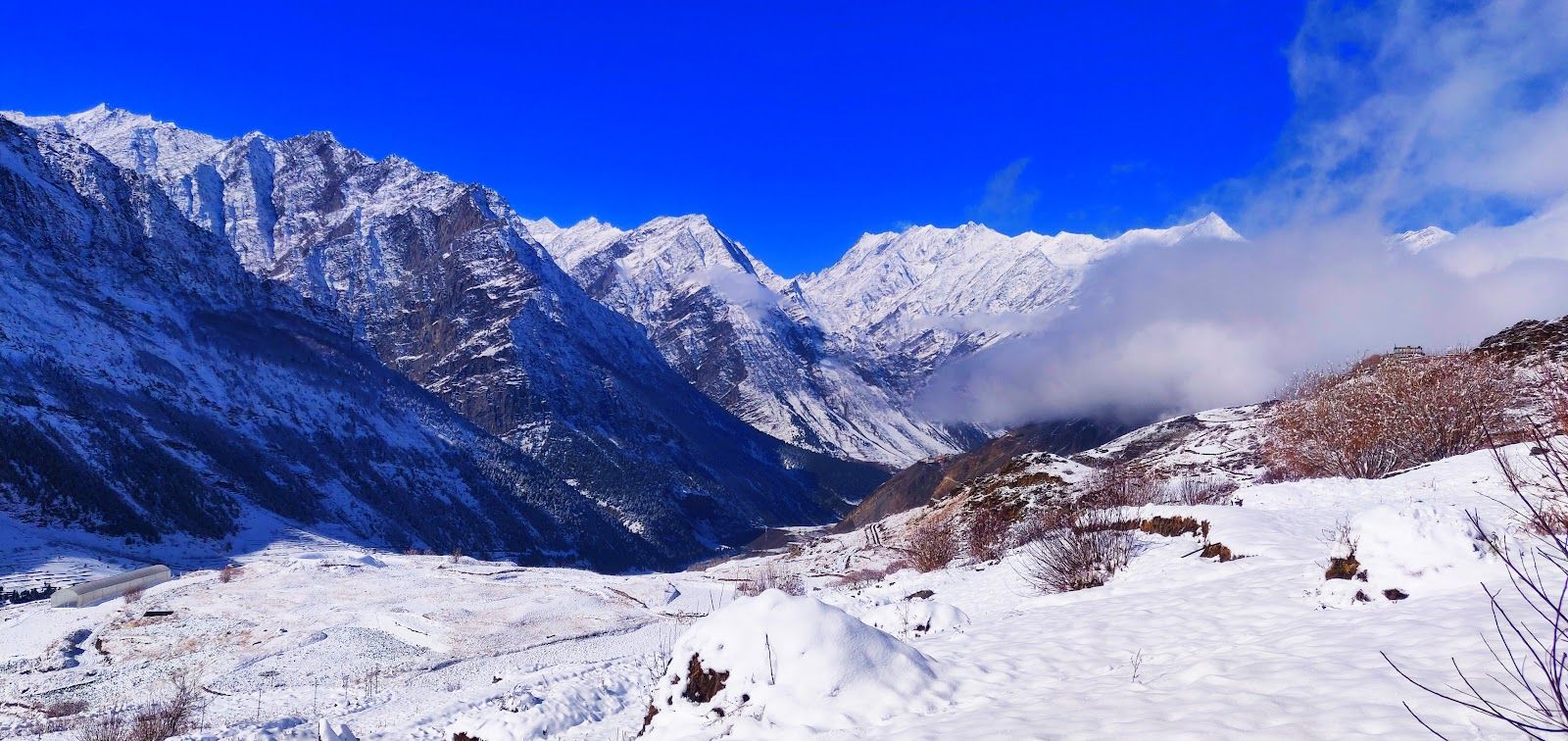 Mountain Homestay w/ Home Meals & Views, HP in Khangsar, HP 5