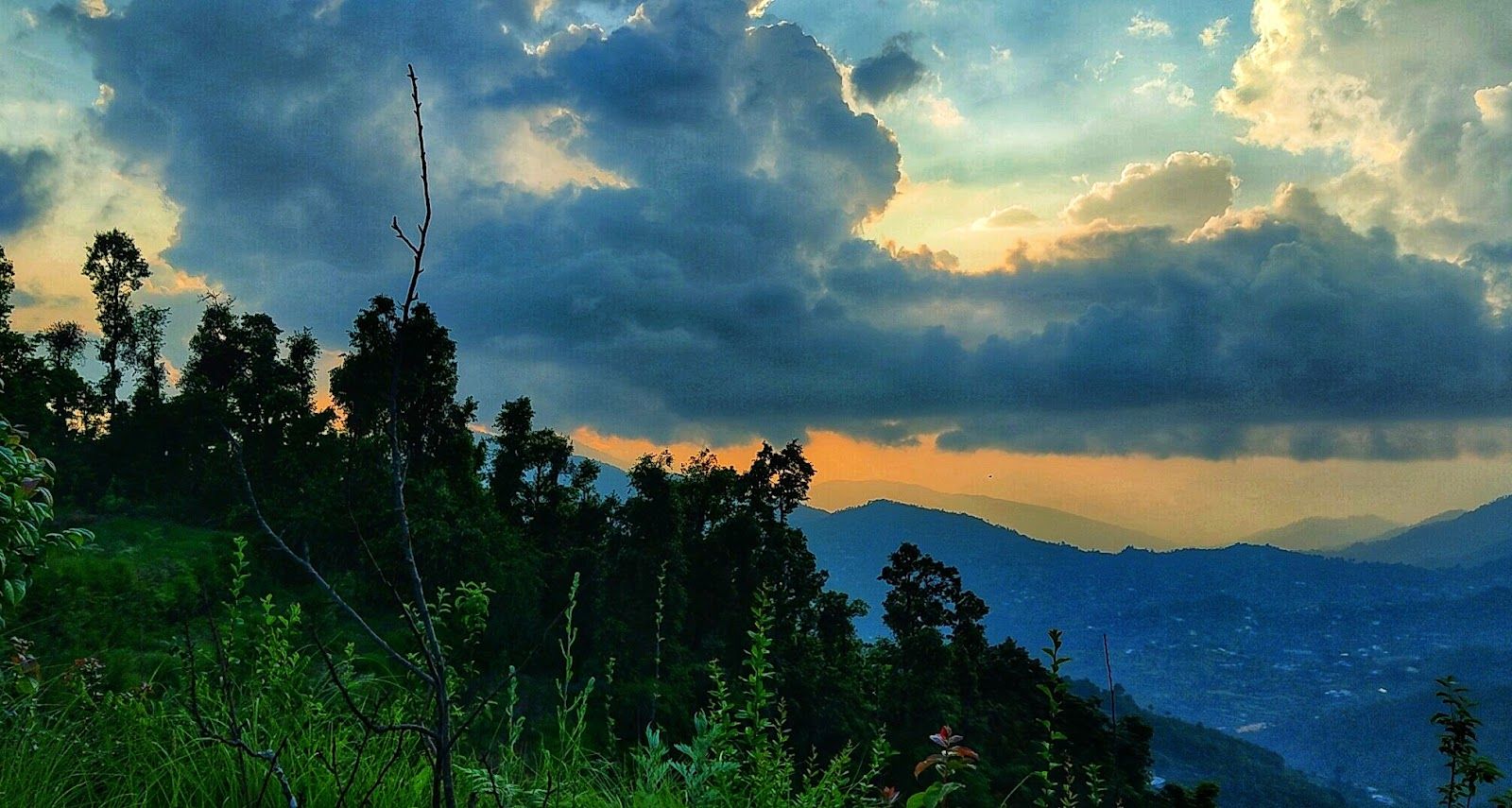 Evening