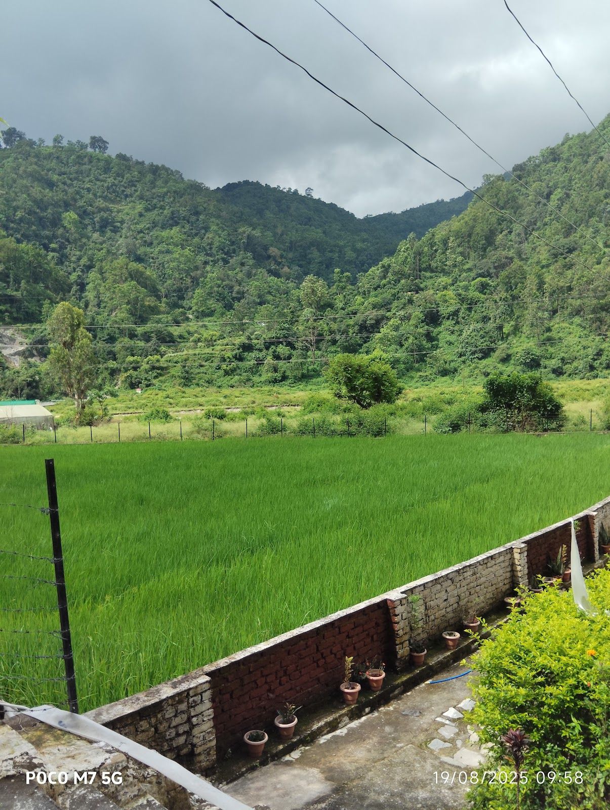 River View Mountain Homestay w/ Pool, Uttarakhand in Uttarakhand 8