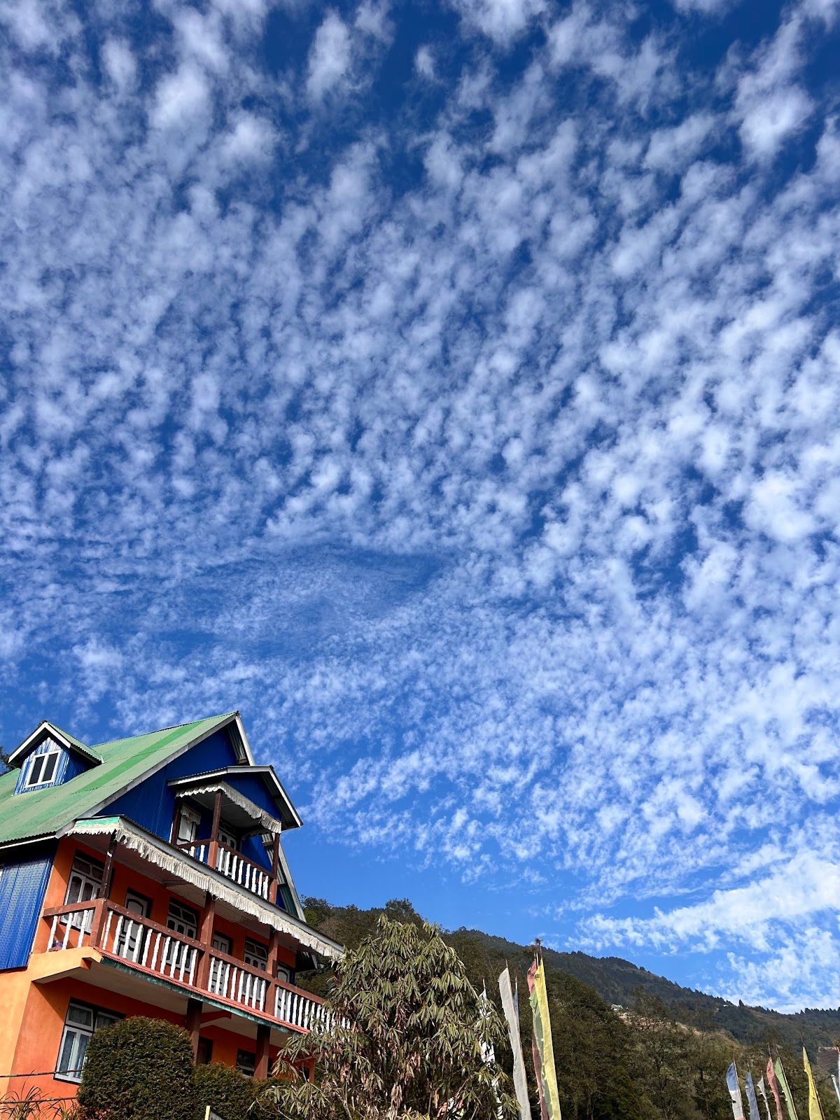Bonfire and Trout Homestay, Sikkim