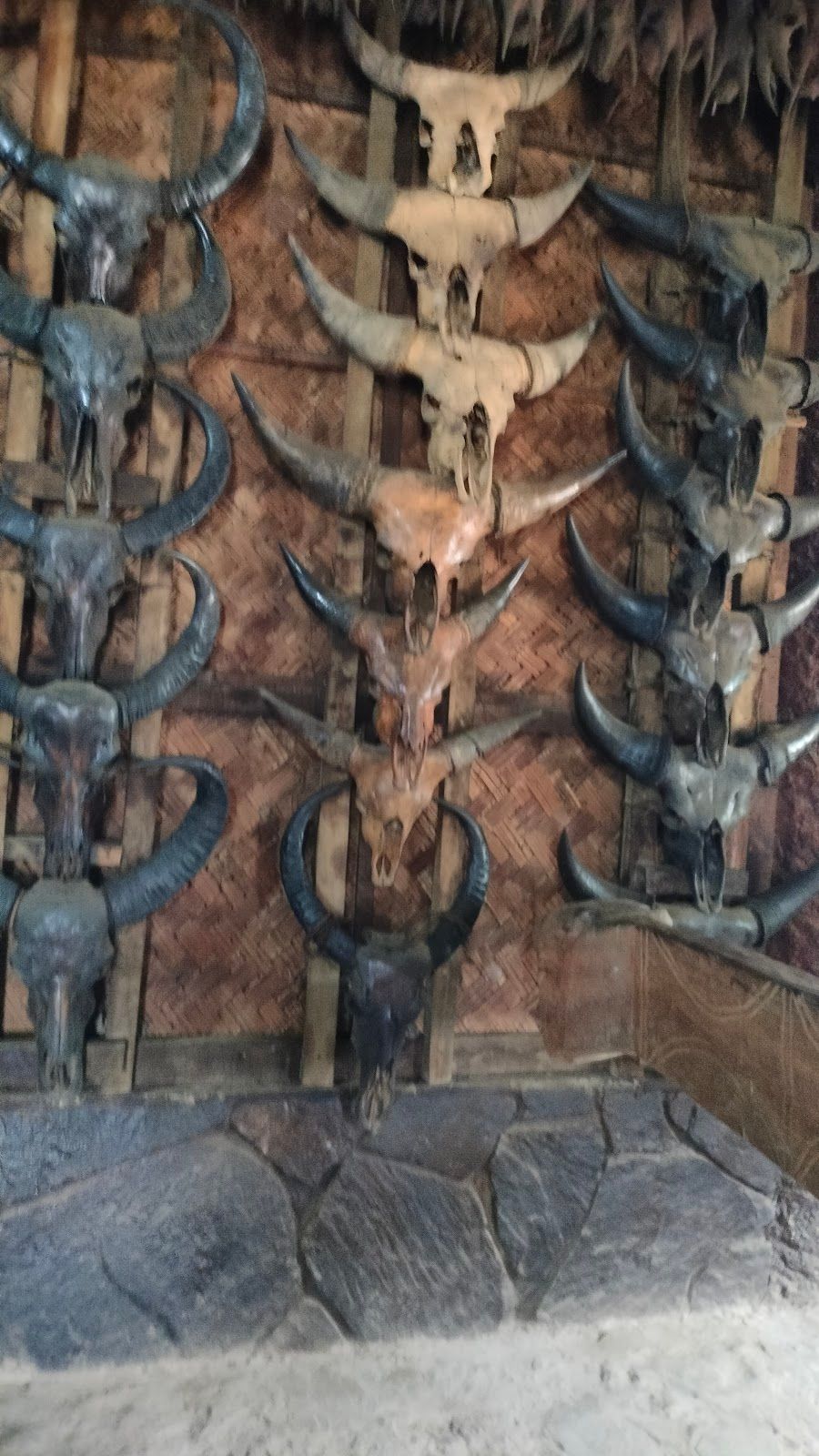 Village Heart Homestay w/ Hospitality Nagaland - Nagaland, Longwa photo 5