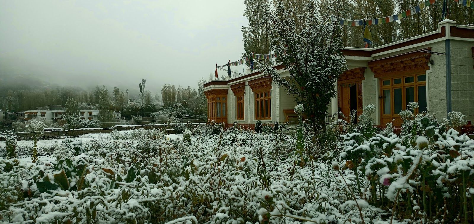 Vacation rentals in Leh