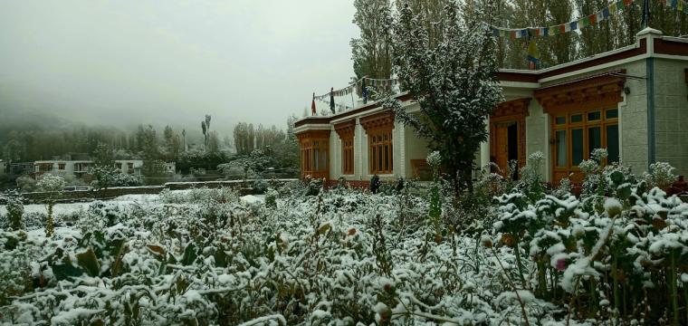 Homestay w/ Shanti Stupa Views & Meals, Ladakh