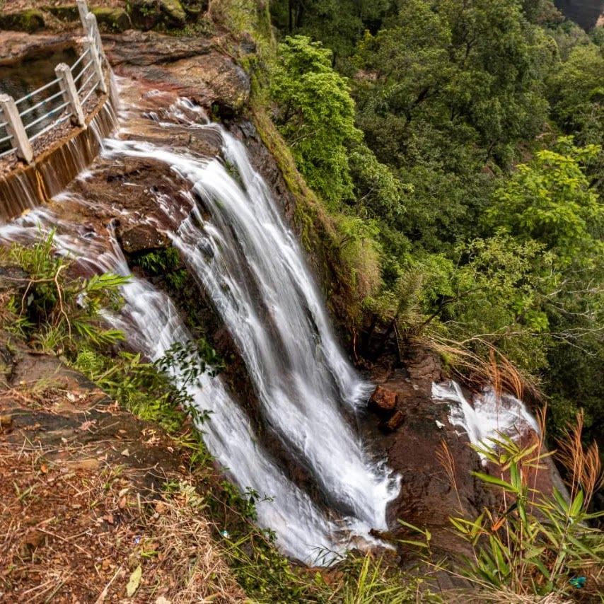Cozy Cottage : Nature, Peace & Kind Hospitality - Meghalaya photo 5