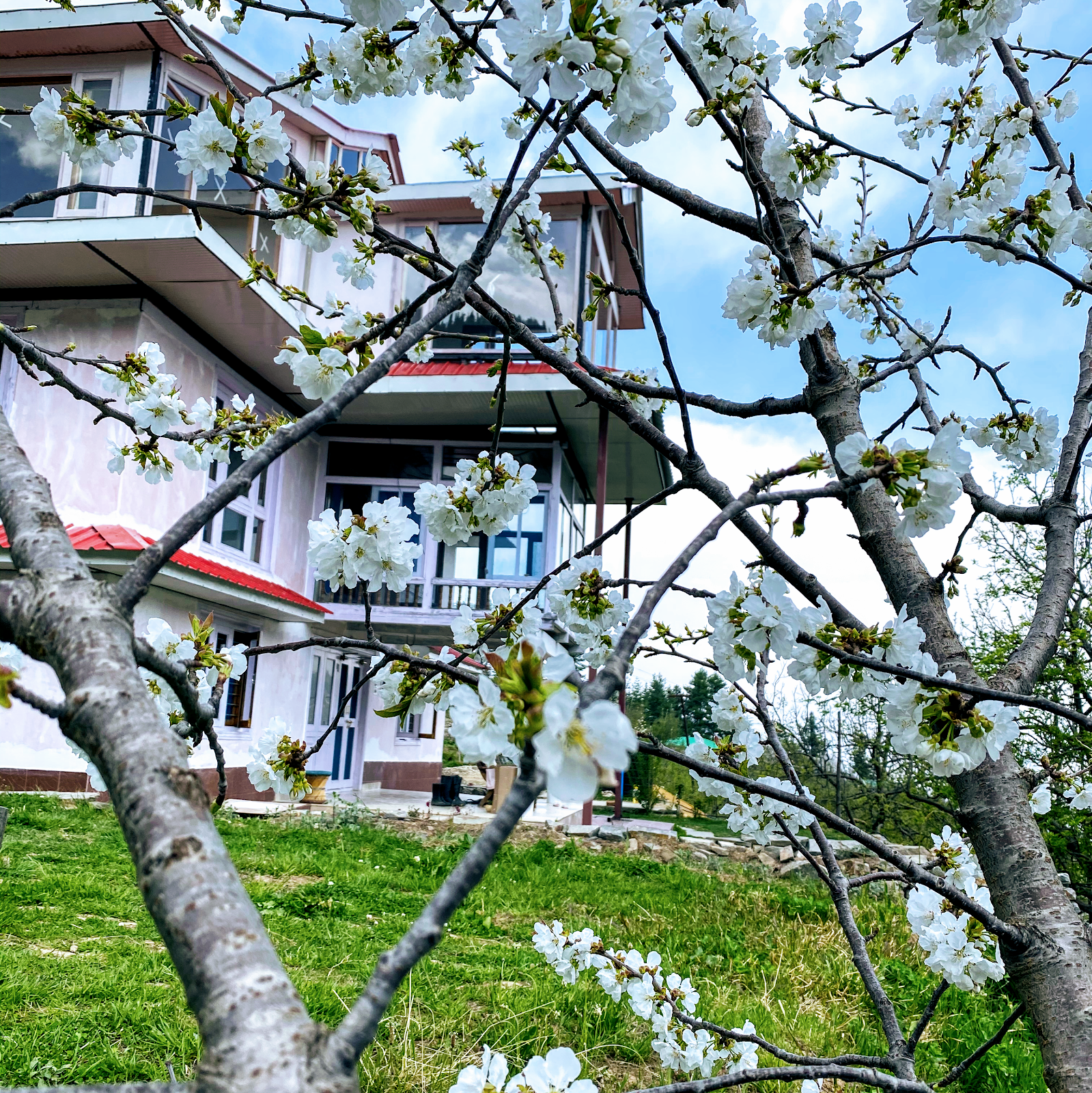 Apple Orchard Homestay w/ Hill Views, HP